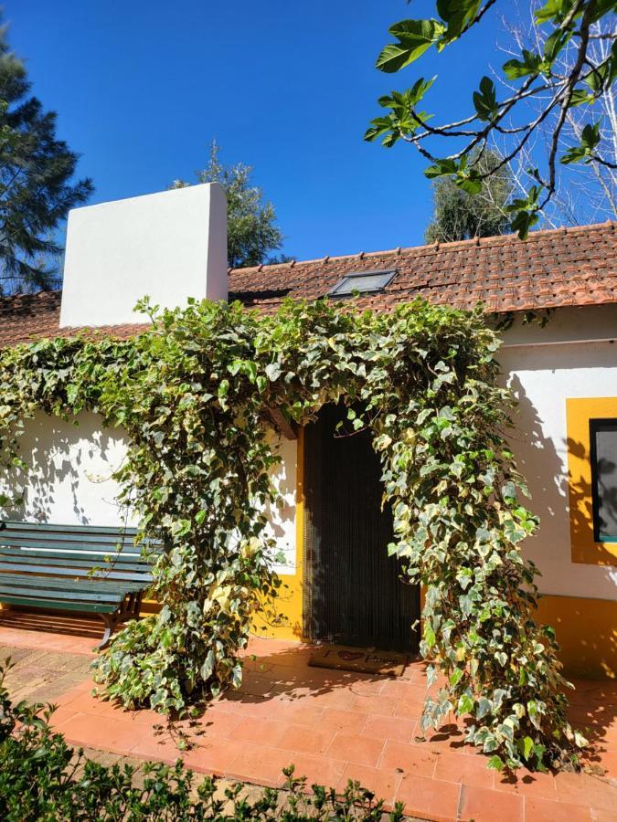 فندق Quinta Da Mimosa Fajarda المظهر الخارجي الصورة