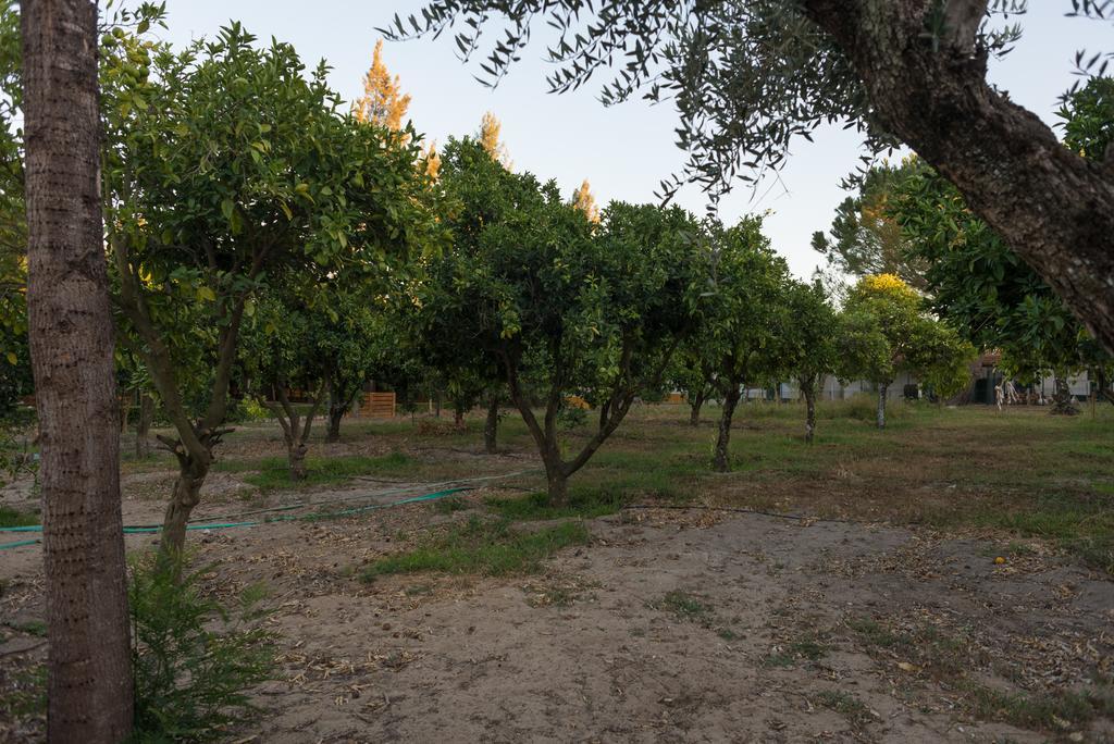 فندق Quinta Da Mimosa Fajarda المظهر الخارجي الصورة